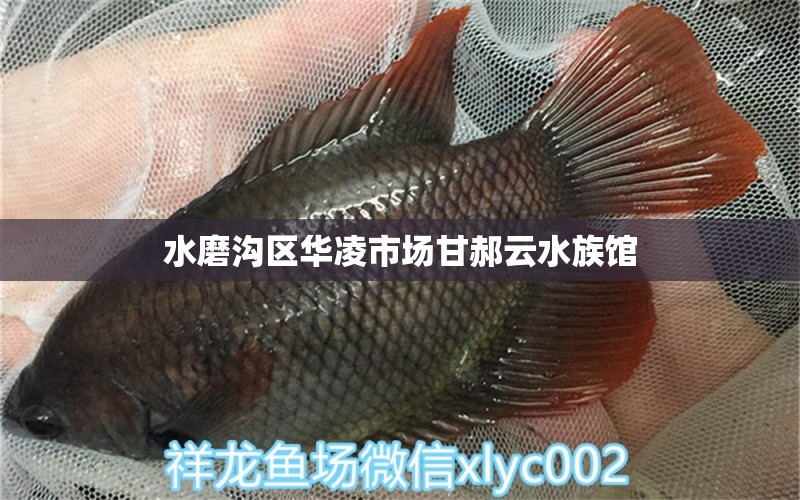 水磨沟区华凌市场甘郝云水族馆 全国水族馆企业名录