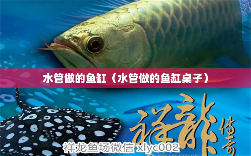 水管做的鱼缸（水管做的鱼缸桌子） 祥龙水族医院