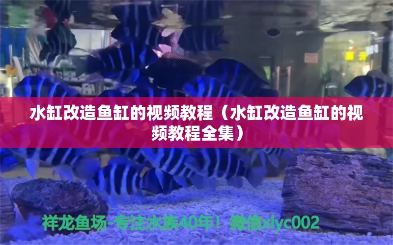 水缸改造鱼缸的视频教程（水缸改造鱼缸的视频教程全集）