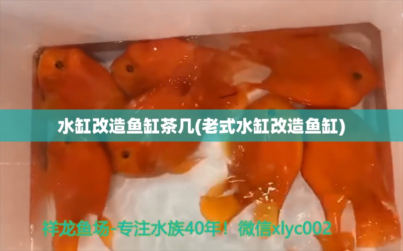 水缸改造鱼缸茶几(老式水缸改造鱼缸) 雪龙鱼