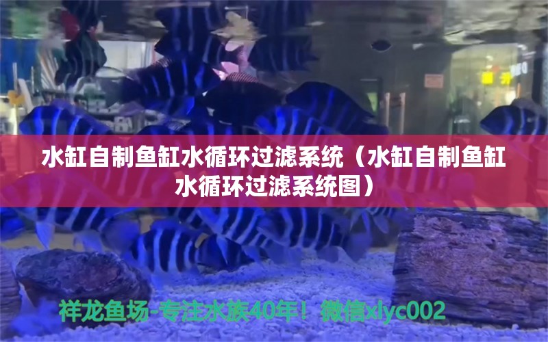 水缸自制鱼缸水循环过滤系统（水缸自制鱼缸水循环过滤系统图）