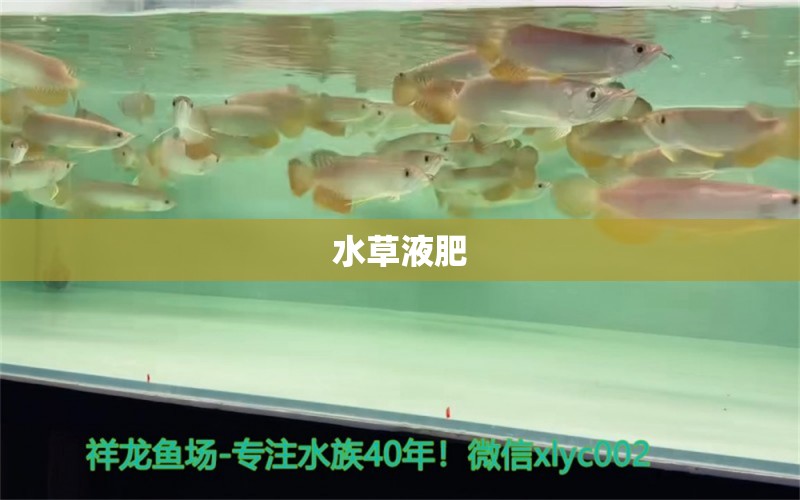 水草液肥