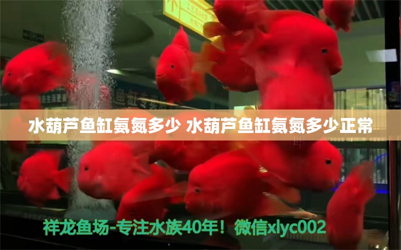 水葫芦鱼缸氨氮多少 水葫芦鱼缸氨氮多少正常 水族主题相关 第1张