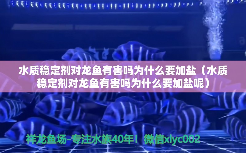 水质稳定剂对龙鱼有害吗为什么要加盐（水质稳定剂对龙鱼有害吗为什么要加盐呢）