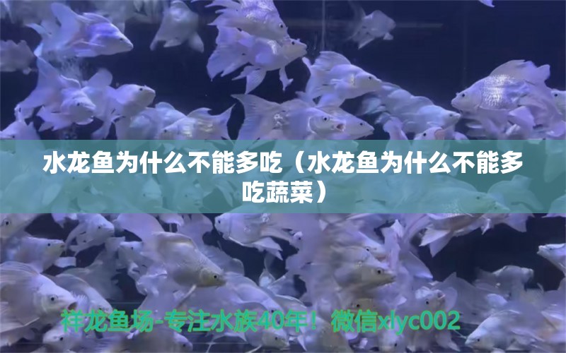 水龙鱼为什么不能多吃（水龙鱼为什么不能多吃蔬菜）