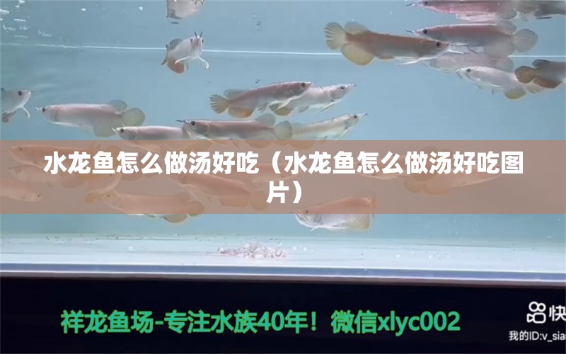 水龙鱼怎么做汤好吃（水龙鱼怎么做汤好吃图片）