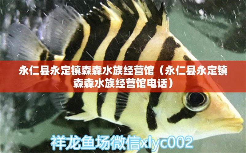 永仁县永定镇森森水族经营馆（永仁县永定镇森森水族经营馆电话） 全国水族馆企业名录