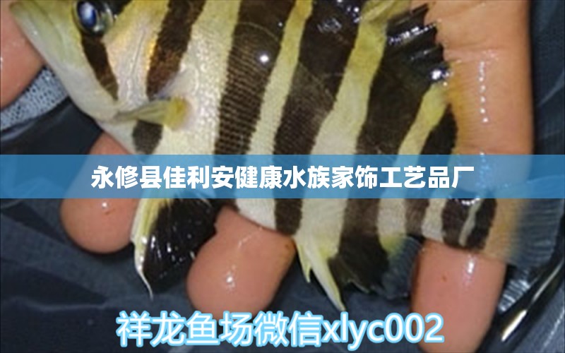 永修县佳利安健康水族家饰工艺品厂 全国水族馆企业名录