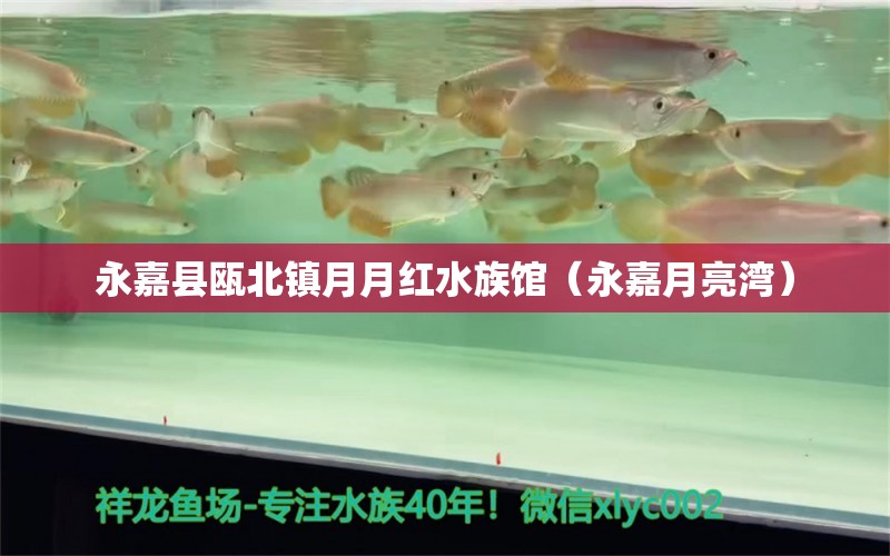 永嘉县瓯北镇月月红水族馆（永嘉月亮湾） 全国水族馆企业名录