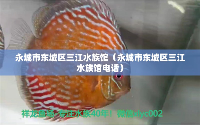 永城市东城区三江水族馆（永城市东城区三江水族馆电话）