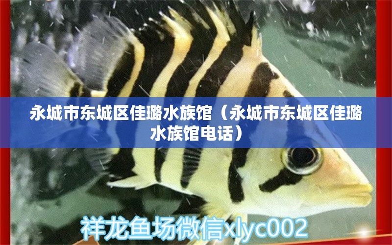 永城市东城区佳璐水族馆（永城市东城区佳璐水族馆电话） 全国水族馆企业名录