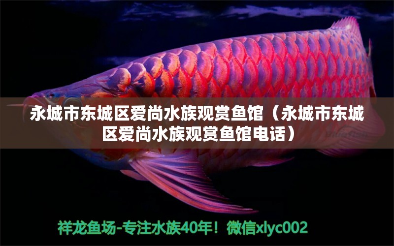 永城市东城区爱尚水族观赏鱼馆（永城市东城区爱尚水族观赏鱼馆电话） 全国水族馆企业名录