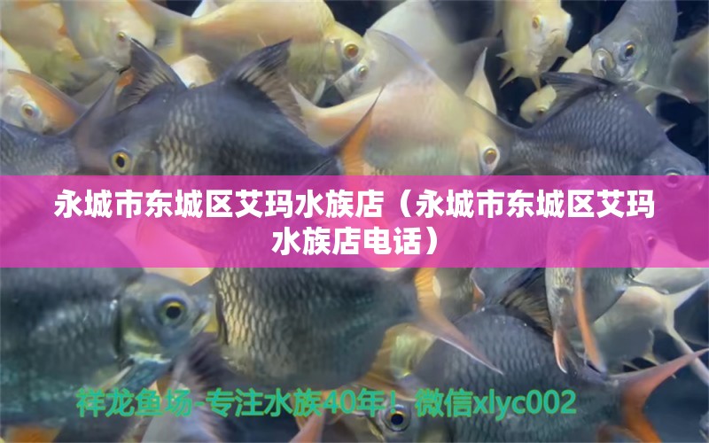 永城市东城区艾玛水族店（永城市东城区艾玛水族店电话） 全国水族馆企业名录