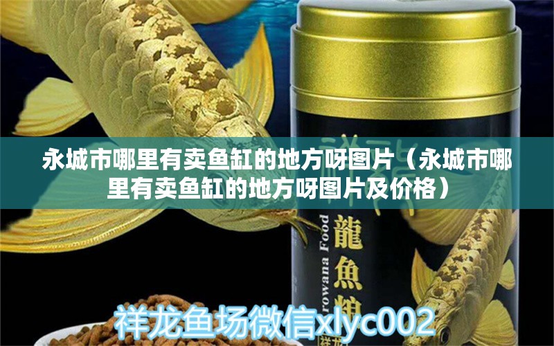 永城市哪里有卖鱼缸的地方呀图片（永城市哪里有卖鱼缸的地方呀图片及价格） 祥龙水族医院