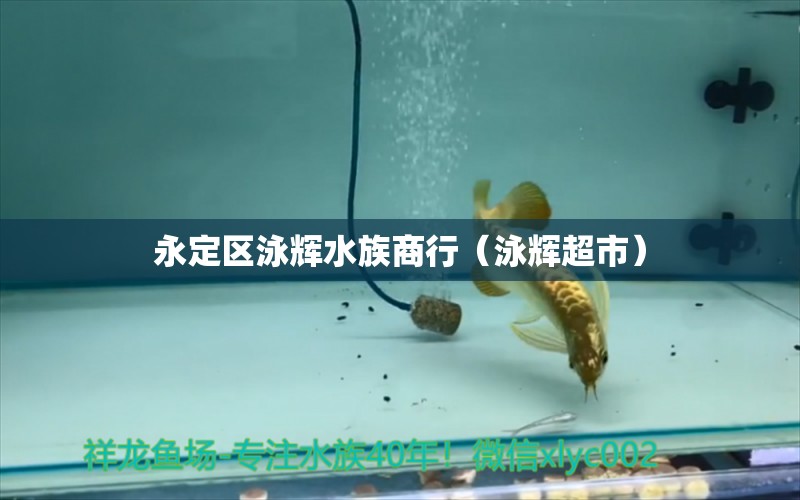 永定区泳辉水族商行（泳辉超市）