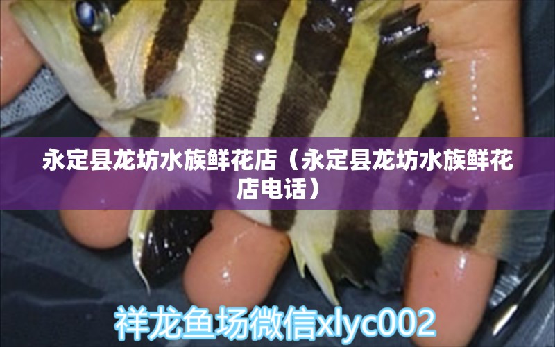 永定县龙坊水族鲜花店（永定县龙坊水族鲜花店电话） 全国水族馆企业名录