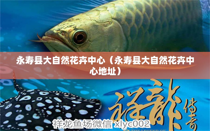 永寿县大自然花卉中心（永寿县大自然花卉中心地址） 全国水族馆企业名录