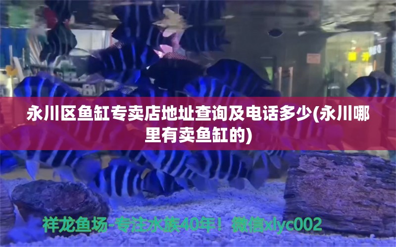 永川区鱼缸专卖店地址查询及电话多少(永川哪里有卖鱼缸的)