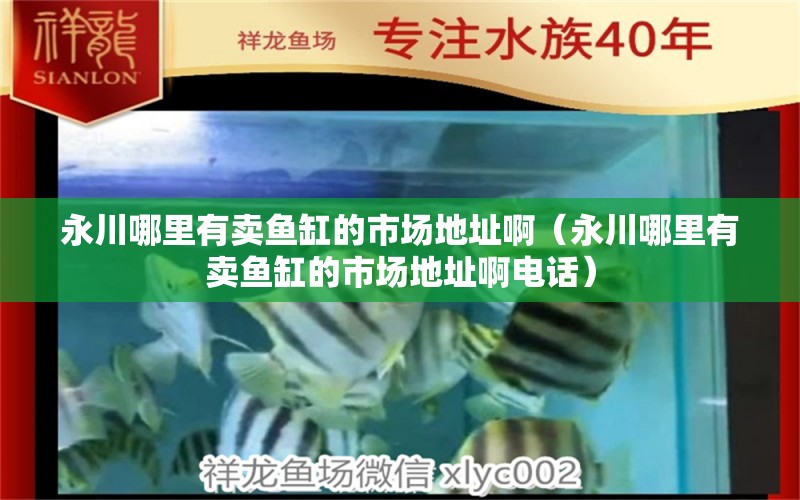 永川哪里有卖鱼缸的市场地址啊（永川哪里有卖鱼缸的市场地址啊电话）