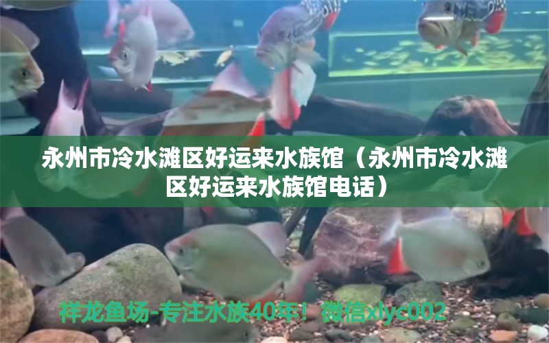 永州市冷水滩区好运来水族馆（永州市冷水滩区好运来水族馆电话） 全国水族馆企业名录