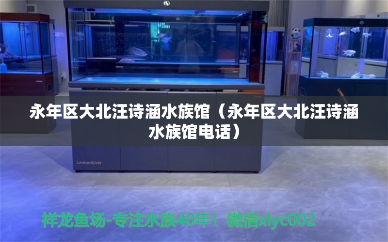 永年区大北汪诗涵水族馆（永年区大北汪诗涵水族馆电话） 全国水族馆企业名录