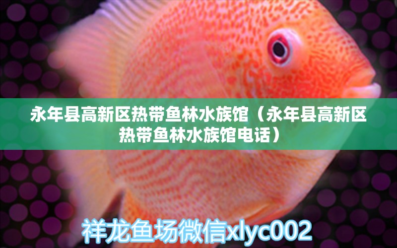 永年县高新区热带鱼林水族馆（永年县高新区热带鱼林水族馆电话）