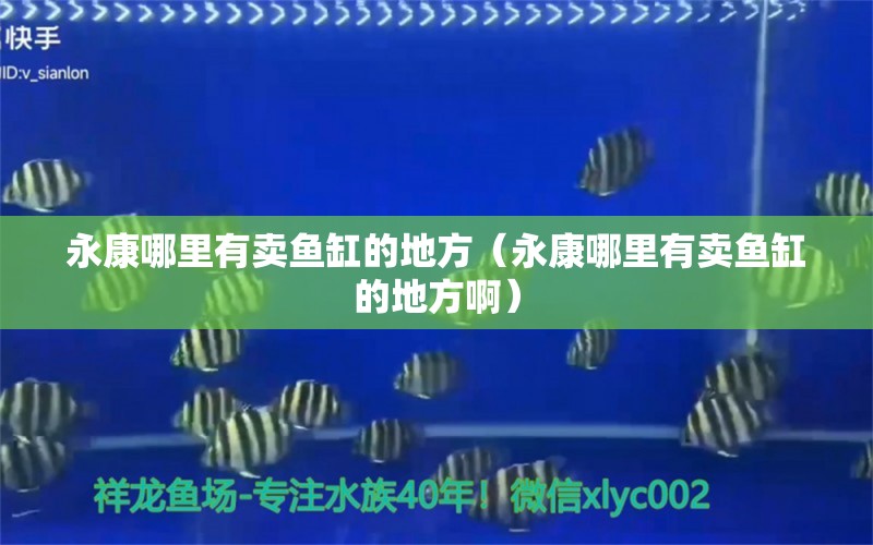 永康哪里有卖鱼缸的地方（永康哪里有卖鱼缸的地方啊）