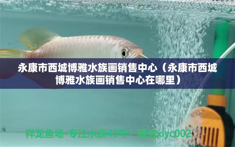 永康市西城博雅水族画销售中心（永康市西城博雅水族画销售中心在哪里）