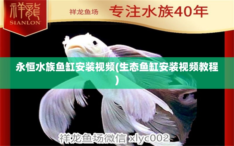 永恒水族鱼缸安装视频(生态鱼缸安装视频教程) 委内瑞拉奥里诺三间鱼 第1张