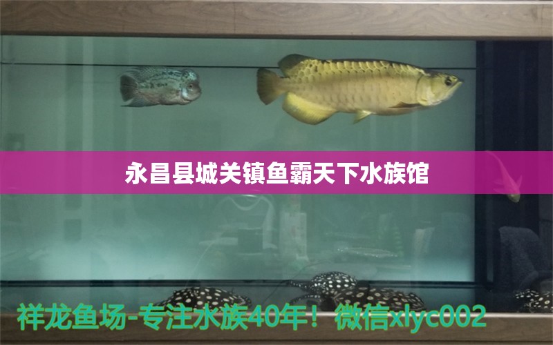 永昌县城关镇鱼霸天下水族馆 全国水族馆企业名录