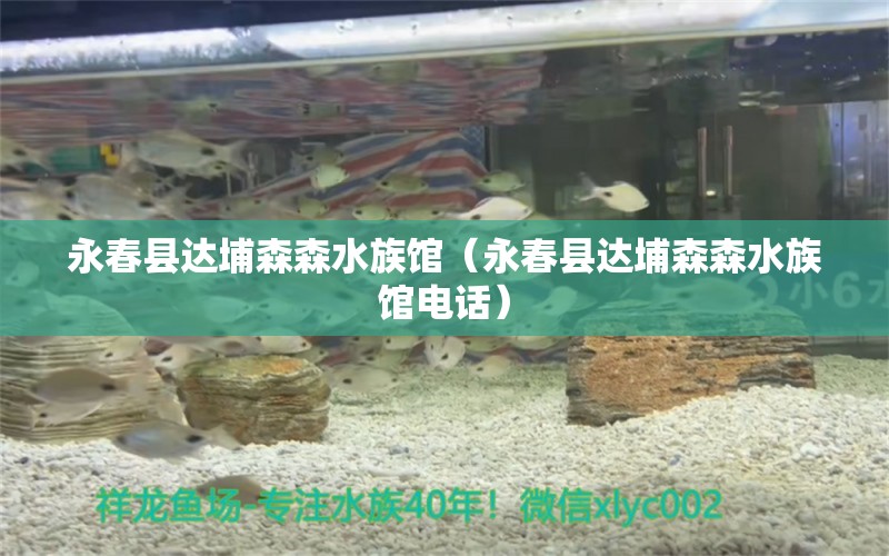 永春县达埔森森水族馆（永春县达埔森森水族馆电话）