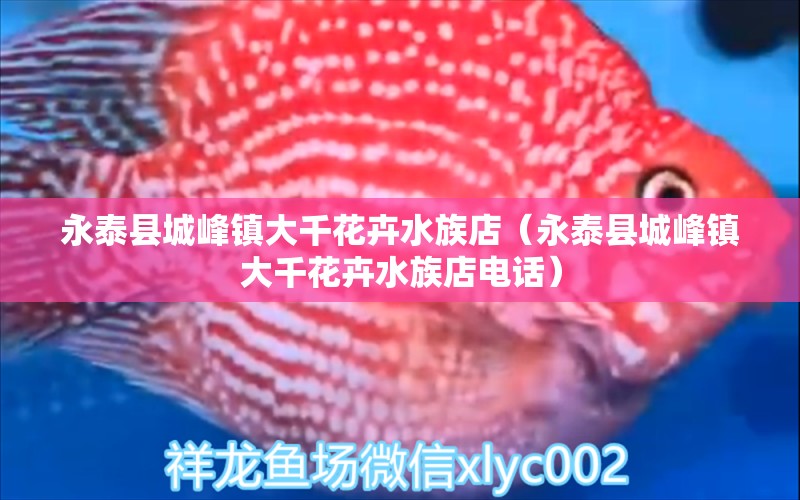 永泰县城峰镇大千花卉水族店（永泰县城峰镇大千花卉水族店电话）