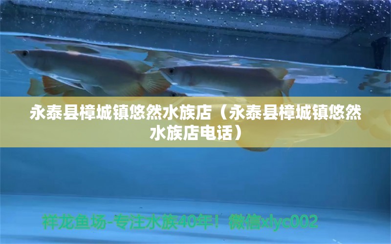 永泰县樟城镇悠然水族店（永泰县樟城镇悠然水族店电话）