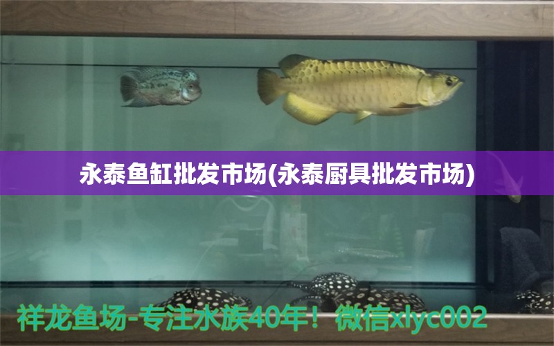 永泰鱼缸批发市场(永泰厨具批发市场) 鱼缸风水 第2张