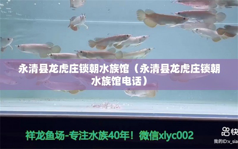 永清县龙虎庄锁朝水族馆（永清县龙虎庄锁朝水族馆电话） 全国水族馆企业名录