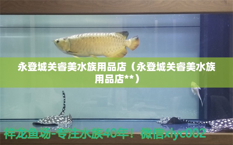 永登城关睿美水族用品店（永登城关睿美水族用品店**）