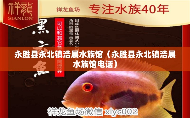 永胜县永北镇浩晨水族馆（永胜县永北镇浩晨水族馆电话） 全国水族馆企业名录