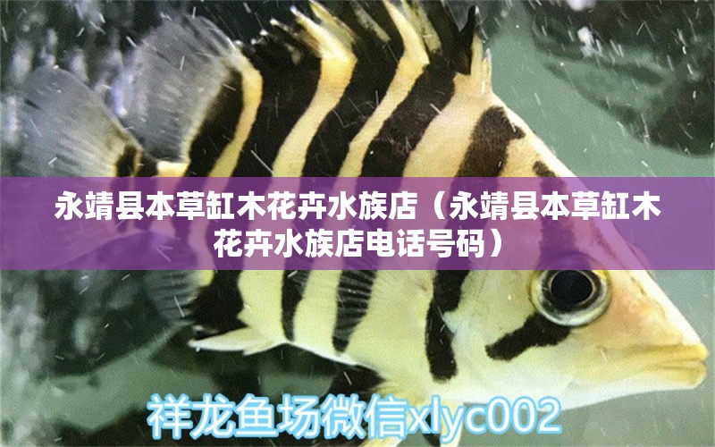 永靖县本草缸木花卉水族店（永靖县本草缸木花卉水族店电话号码） 全国水族馆企业名录