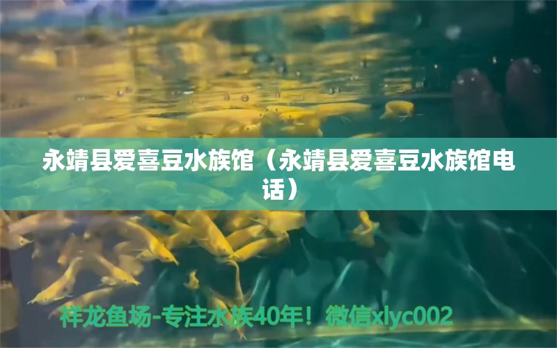 永靖县爱喜豆水族馆（永靖县爱喜豆水族馆电话）