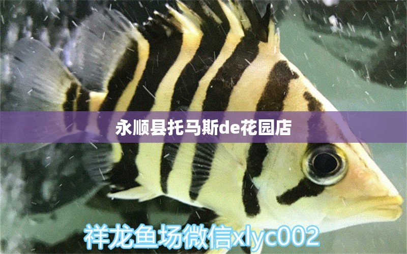 永顺县托马斯de花园店 全国水族馆企业名录