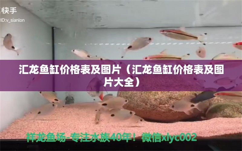 汇龙鱼缸价格表及图片（汇龙鱼缸价格表及图片大全） 祥龙水族医院