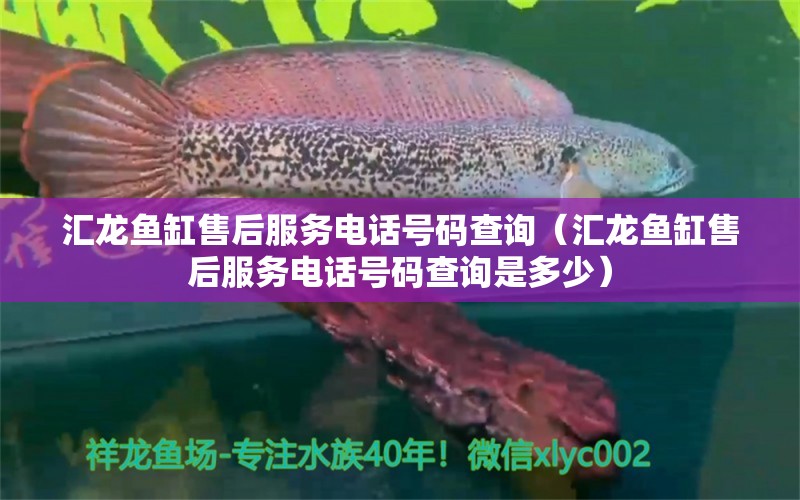 汇龙鱼缸售后服务电话号码查询（汇龙鱼缸售后服务电话号码查询是多少）