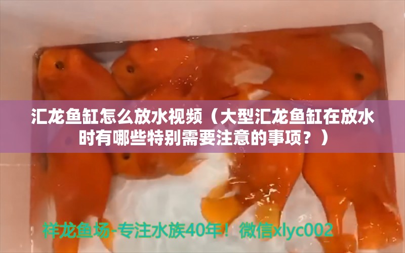 汇龙鱼缸怎么放水视频（大型汇龙鱼缸在放水时有哪些特别需要注意的事项？）