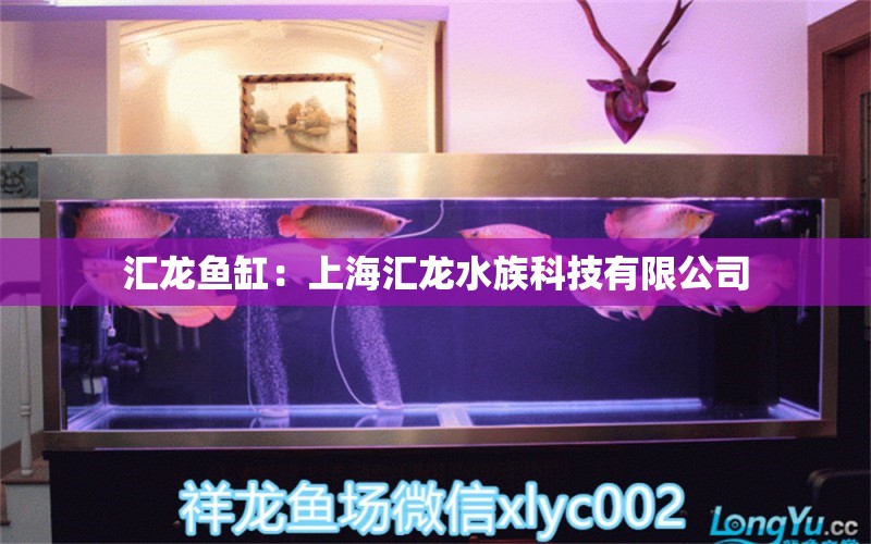 汇龙鱼缸：上海汇龙水族科技有限公司