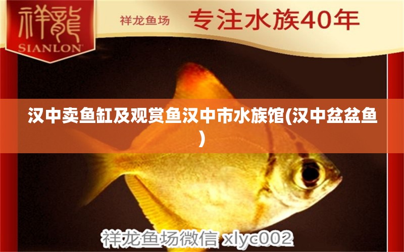 汉中卖鱼缸及观赏鱼汉中市水族馆(汉中盆盆鱼) 喂食器