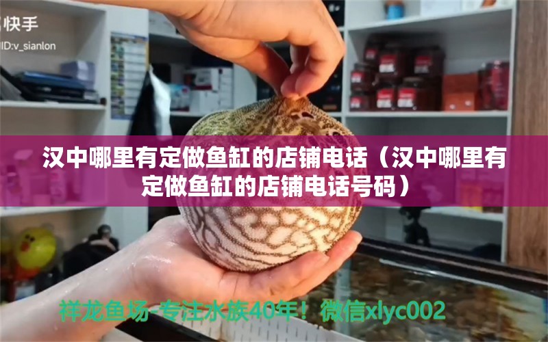 汉中哪里有定做鱼缸的店铺电话（汉中哪里有定做鱼缸的店铺电话号码）