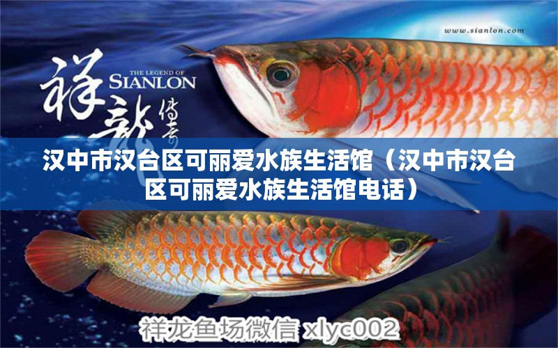 汉中市汉台区可丽爱水族生活馆（汉中市汉台区可丽爱水族生活馆电话） 全国水族馆企业名录