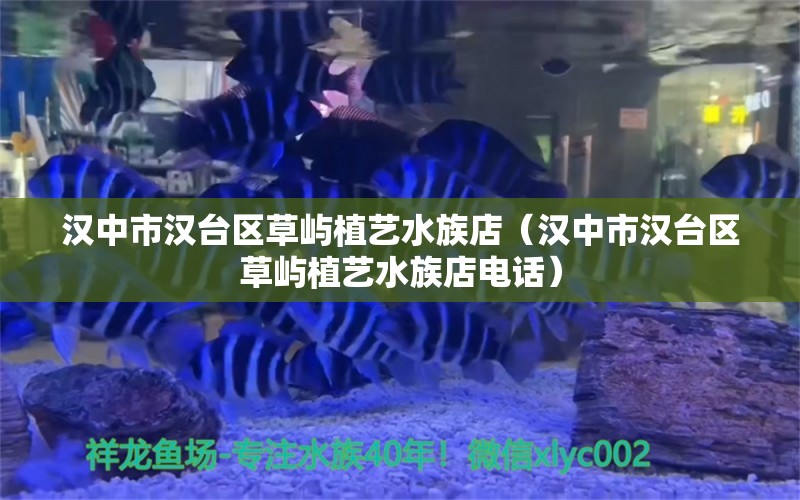 汉中市汉台区草屿植艺水族店（汉中市汉台区草屿植艺水族店电话）