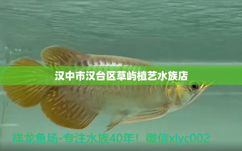 汉中市汉台区草屿植艺水族店 全国水族馆企业名录