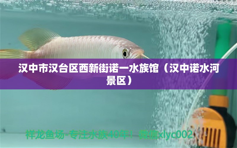 汉中市汉台区西新街诺一水族馆（汉中诺水河景区）